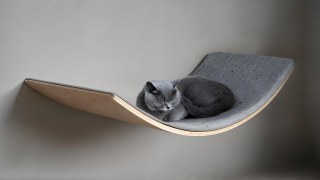 Mamapetz Loya Light Katzenbett Hundelounge Modernes Interior Haustiermöbel Holz